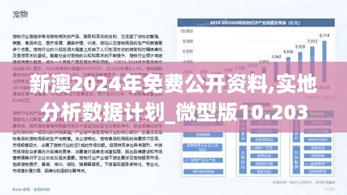 新澳2025年最新版资料全面释义、解释与落实